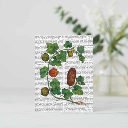 Squash Vine 3 Briefkaart (Staand voorkant)