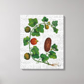 Squash Vine 3 Canvas Afdruk (Voorkant)