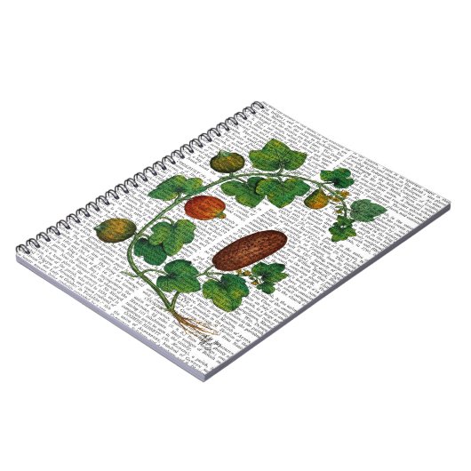 Squash Vine 3 Notitieboek (Linkerzijde)