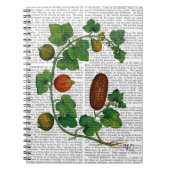 Squash Vine 3 Notitieboek (Voorkant)