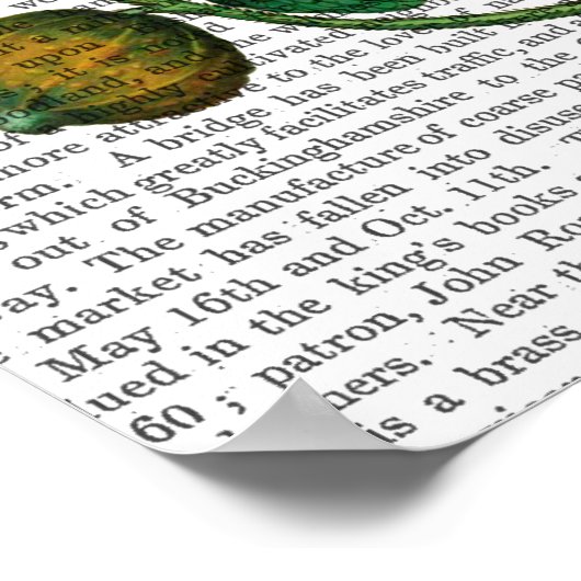 Squash Vine 3 Poster (Hoek)