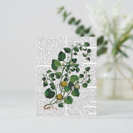 Squash Vine 4 Briefkaart (Staand voorkant)