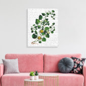 Squash Vine 4 Canvas Afdruk (Insitu (Woonkamer))