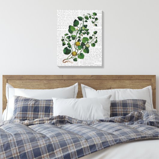 Squash Vine 4 Canvas Afdruk (Insitu (Slaapkamer))