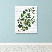 Squash Vine 4 Canvas Afdruk (Insitu (Houten vloer))