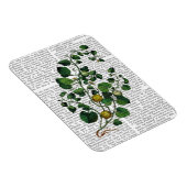 Squash Vine 4 Magneet (Rechterzijde)