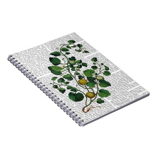 Squash Vine 4 Notitieboek (Rechterzijde)