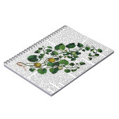 Squash Vine 4 Notitieboek (Linkerzijde)