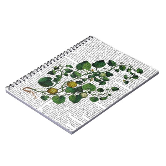 Squash Vine 4 Notitieboek (Linkerzijde)