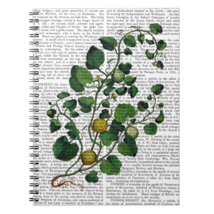 Squash Vine 4 Notitieboek