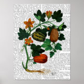 Squash Vine Poster (Voorkant)
