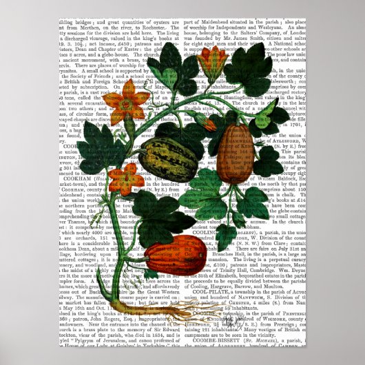 Squash Vine Poster (Voorkant)