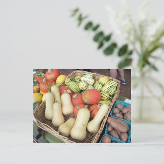 Squashassortiment Briefkaart (Staand voorkant)