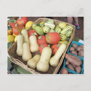 Squashassortiment Briefkaart