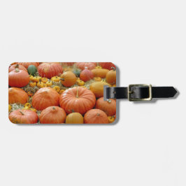 Squashes Galore Bagagelabel