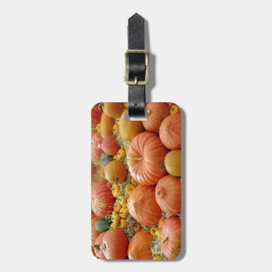 Squashes Galore Bagagelabel (Voorkant verticaal)