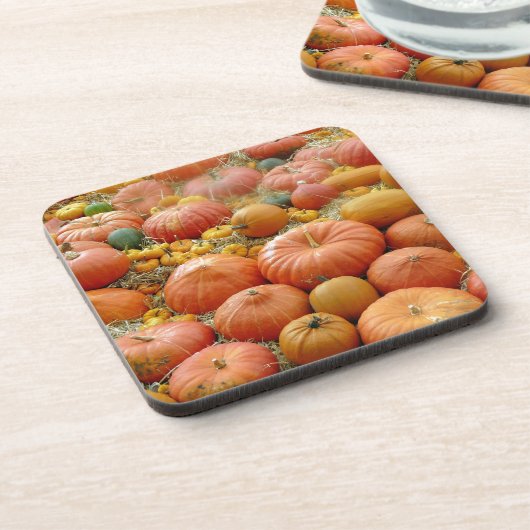 Squashes Galore Bier Onderzetter (Linkerzijde)