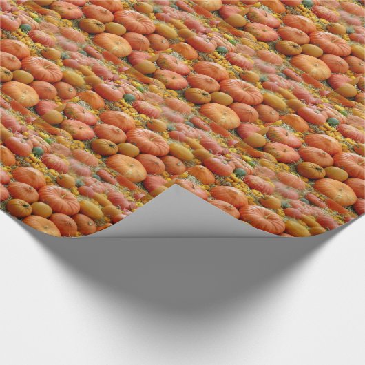 Squashes Galore Cadeaupapier (Hoek)