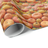 Squashes Galore Cadeaupapier (Rol Hoek)