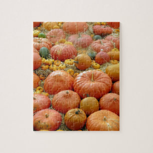 Squashes Galore Legpuzzel