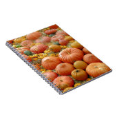 Squashes Galore Notitieboek (Rechterzijde)