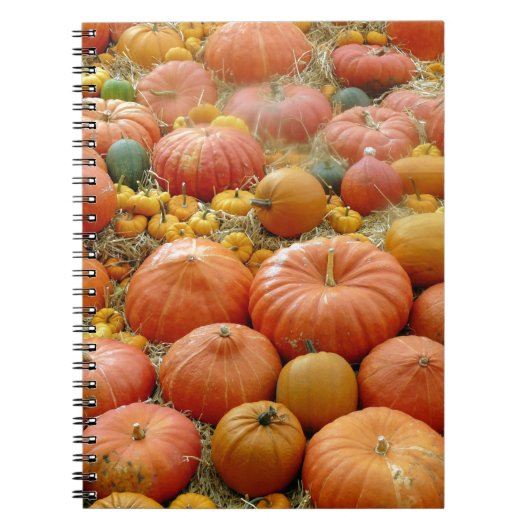 Squashes Galore Notitieboek (Voorkant)