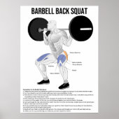 Squat - Exercise - Muscle Anatomee Chart Poster (Voorkant)