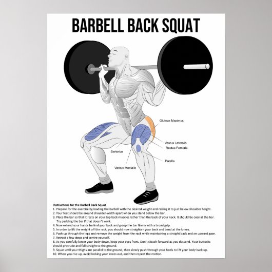 Squat - Exercise - Muscle Anatomee Chart Poster (Voorkant)