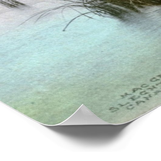 Squaw Island, Canandaigua Lake, NY  Poster (Hoek)