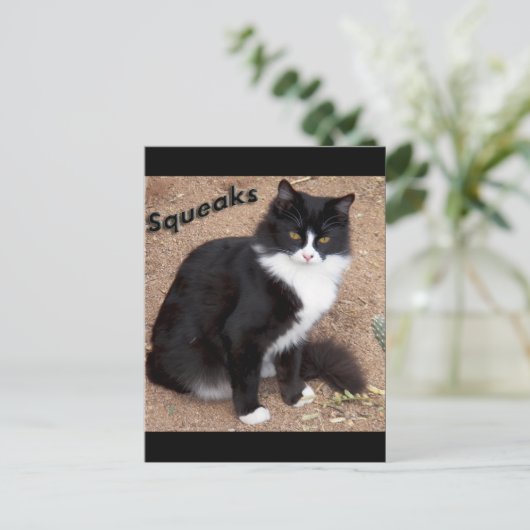 Squeaks Briefkaart (Staand voorkant)