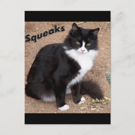 Squeaks Briefkaart (Voorkant)