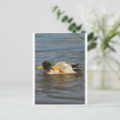 Squeaky Briefkaart (Staand voorkant)