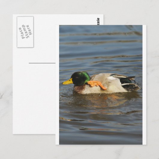 Squeaky Briefkaart (Voorkant / Achterkant)