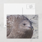 Squeaky Briefkaart (Voorkant / Achterkant)