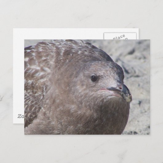 Squeaky Briefkaart (Voorkant / Achterkant)