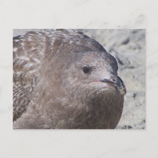 Squeaky Briefkaart (Voorkant)