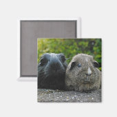 Squee & Scruffles Magneet (Voorkant / Achterkant)