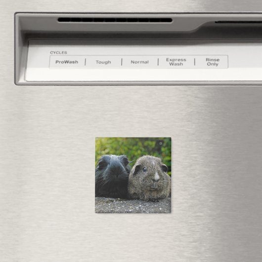 Squee & Scruffles Magneet (Insitu (Vaatwasser))