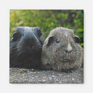 Squee & Scruffles Magneet