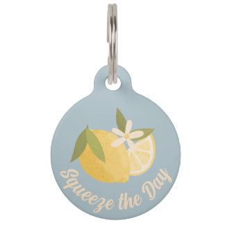 Squeeze the Day Citrus blauwe gepersonaliseerde ho Huisdierpenning