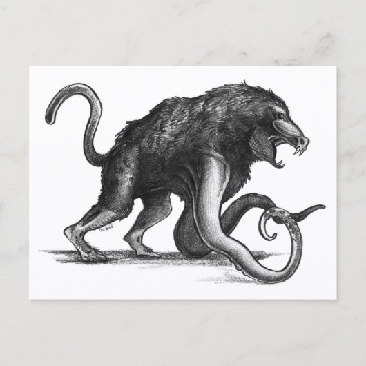 Squiboon - Briefkaart (Voorkant)