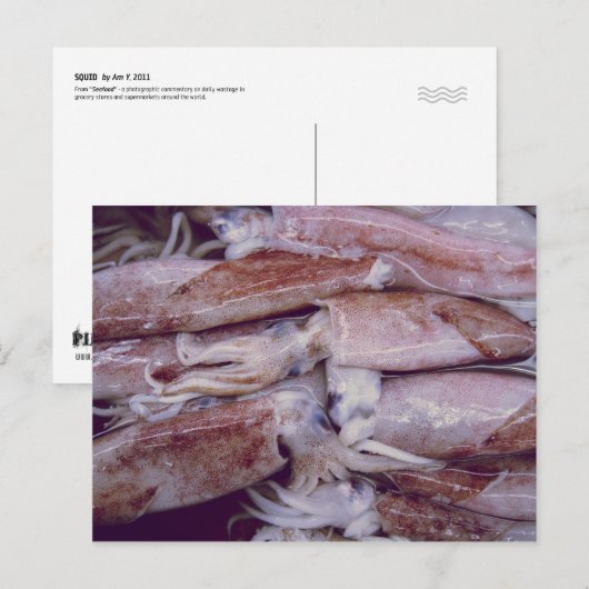 Squid Briefkaart (Voorkant / Achterkant)