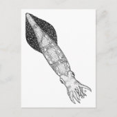 Squid Briefkaart (Voorkant)