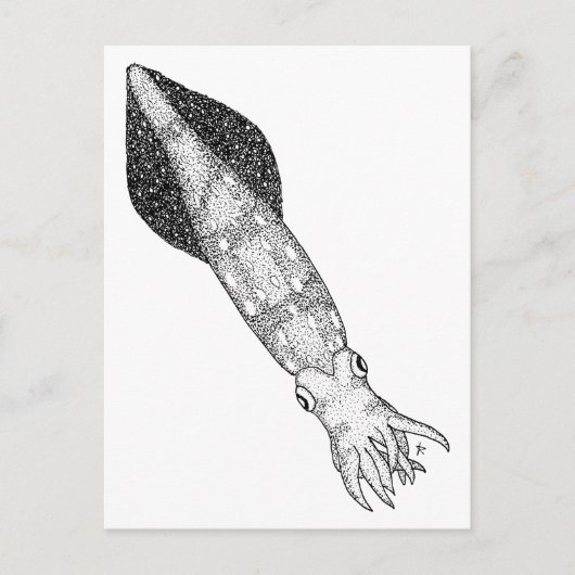 Squid Briefkaart (Voorkant)