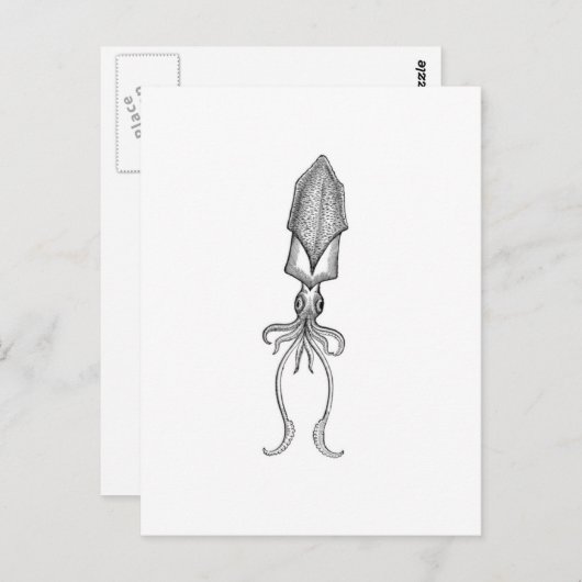 Squid Briefkaart (Voorkant / Achterkant)