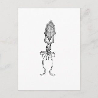 Squid Briefkaart