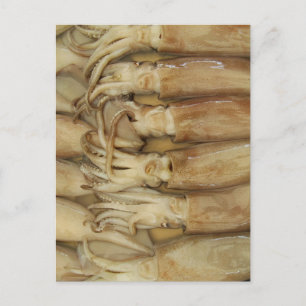 Squid - Calamari Briefkaart