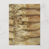 Squid - Calamari Briefkaart (Voorkant)