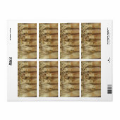 Squid - Calamari Etiket (Full Sheet)