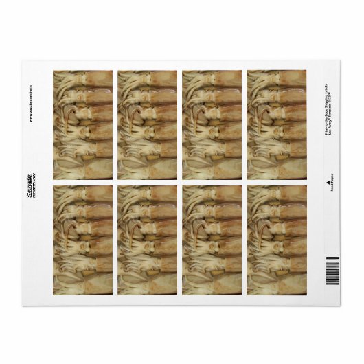 Squid - Calamari Etiket (Full Sheet)